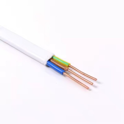 2.5mm PVC Insulated Electrical Wire 0.75mm-6mm Flat Line 2-Core Parallel Solid Conductor for House W
